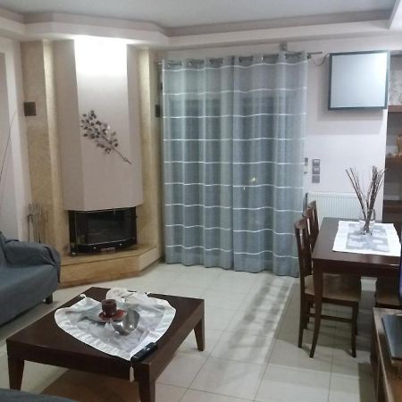 Museum Apartment Wolos Zewnętrze zdjęcie